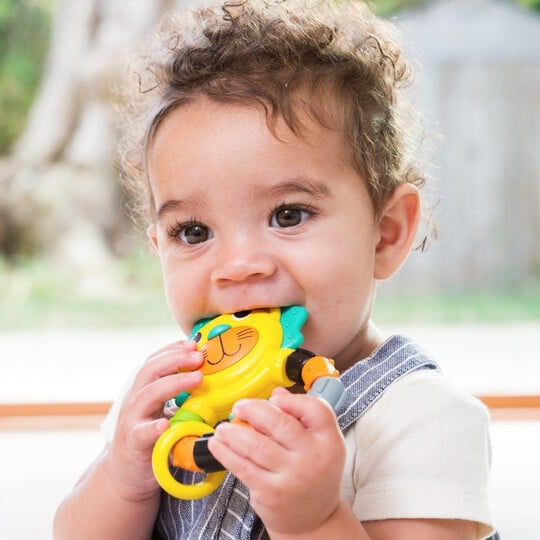 Infantino Lion Teether