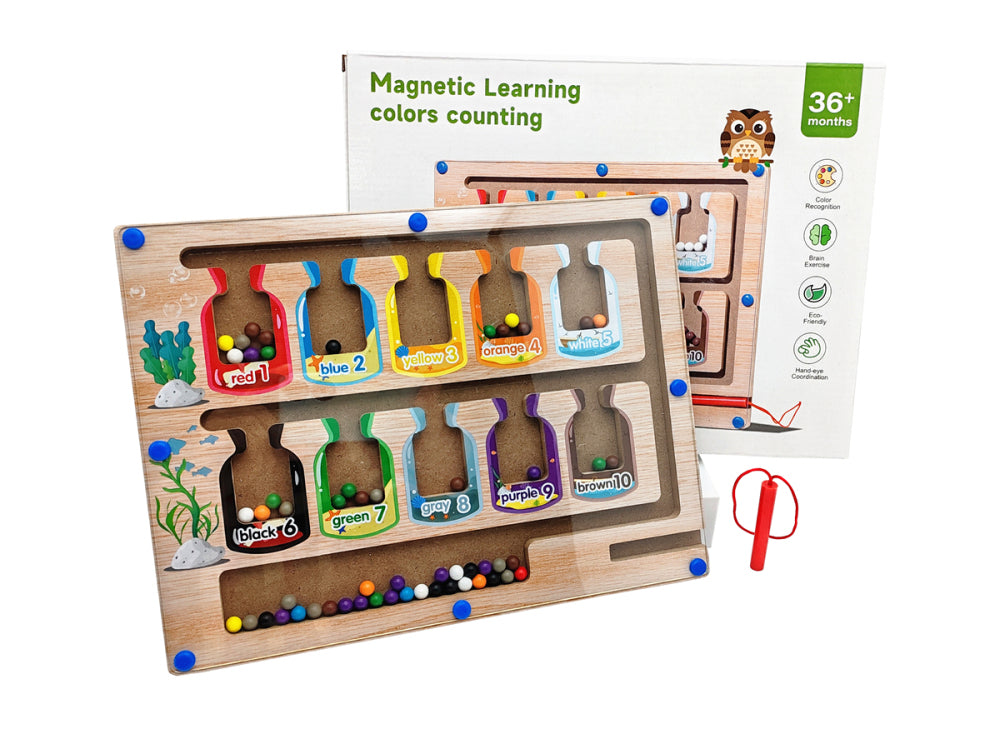 Magnetic Learning Maze