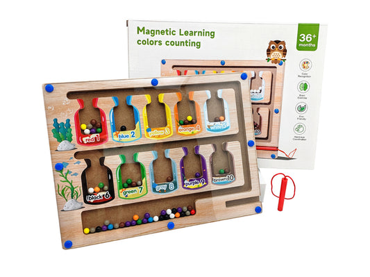 Magnetic Learning Maze